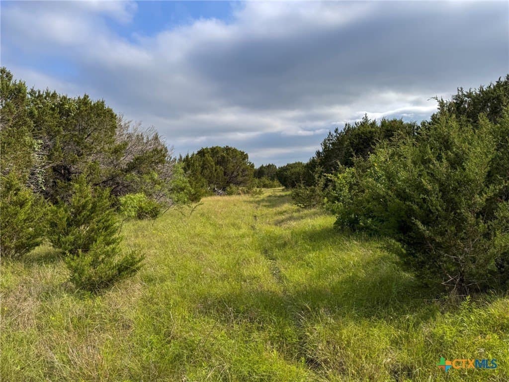10.01 acres in Hamilton County - photo 10