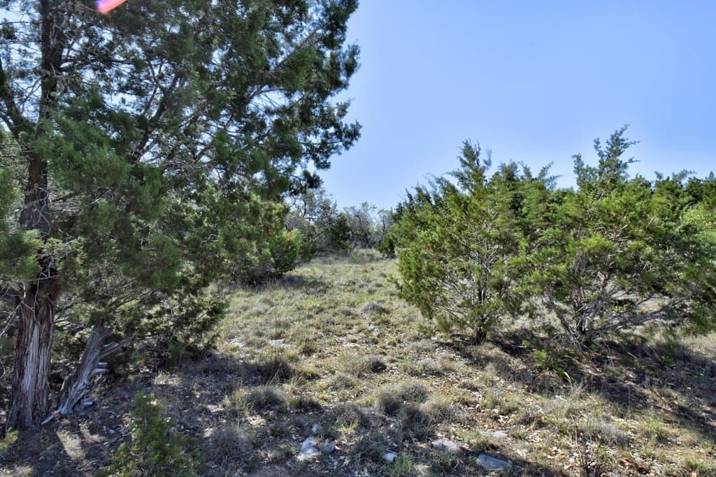 9.13 acres in Blanco County - photo 3