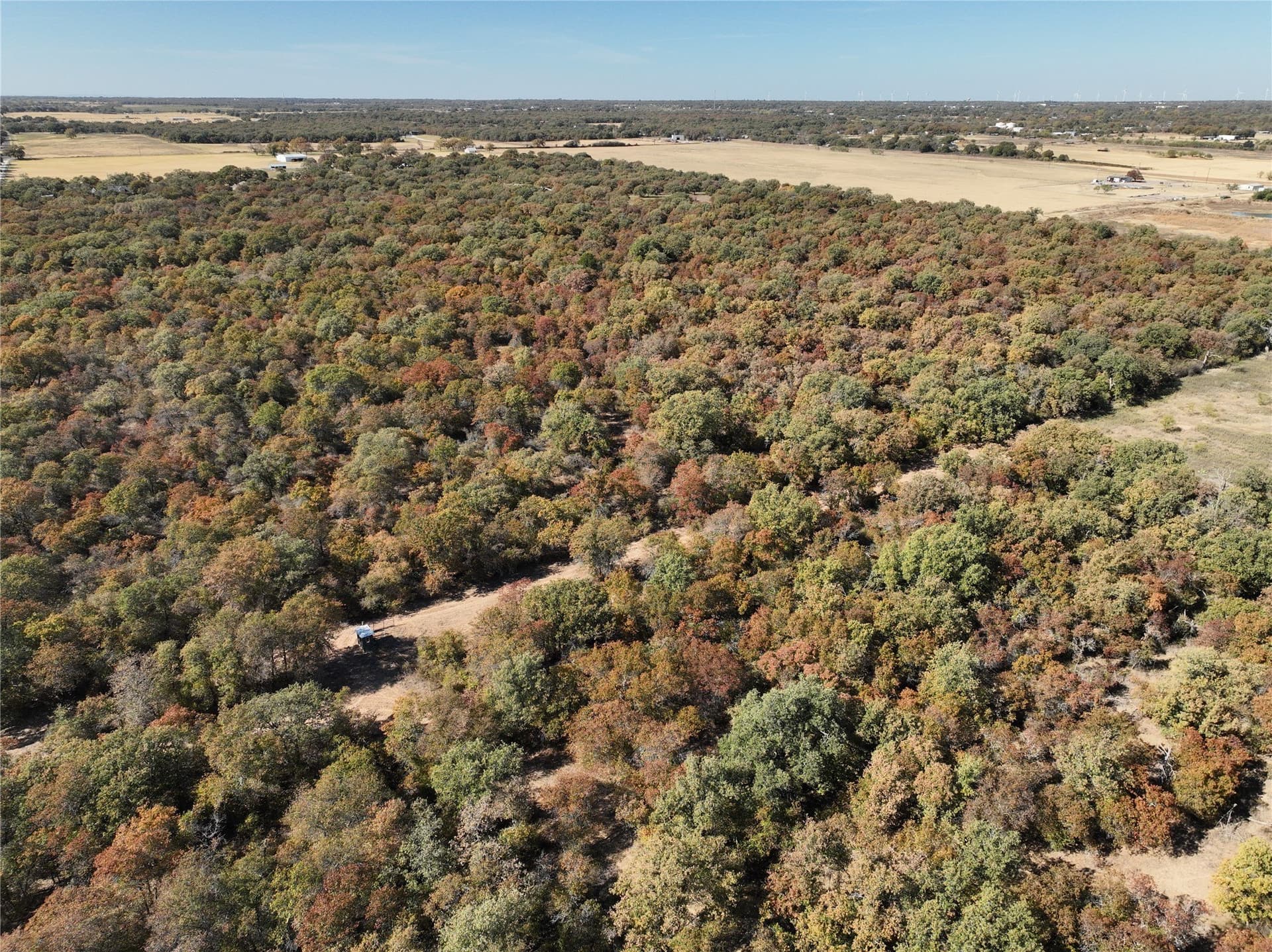 7.31 acres in Callahan County - photo 8