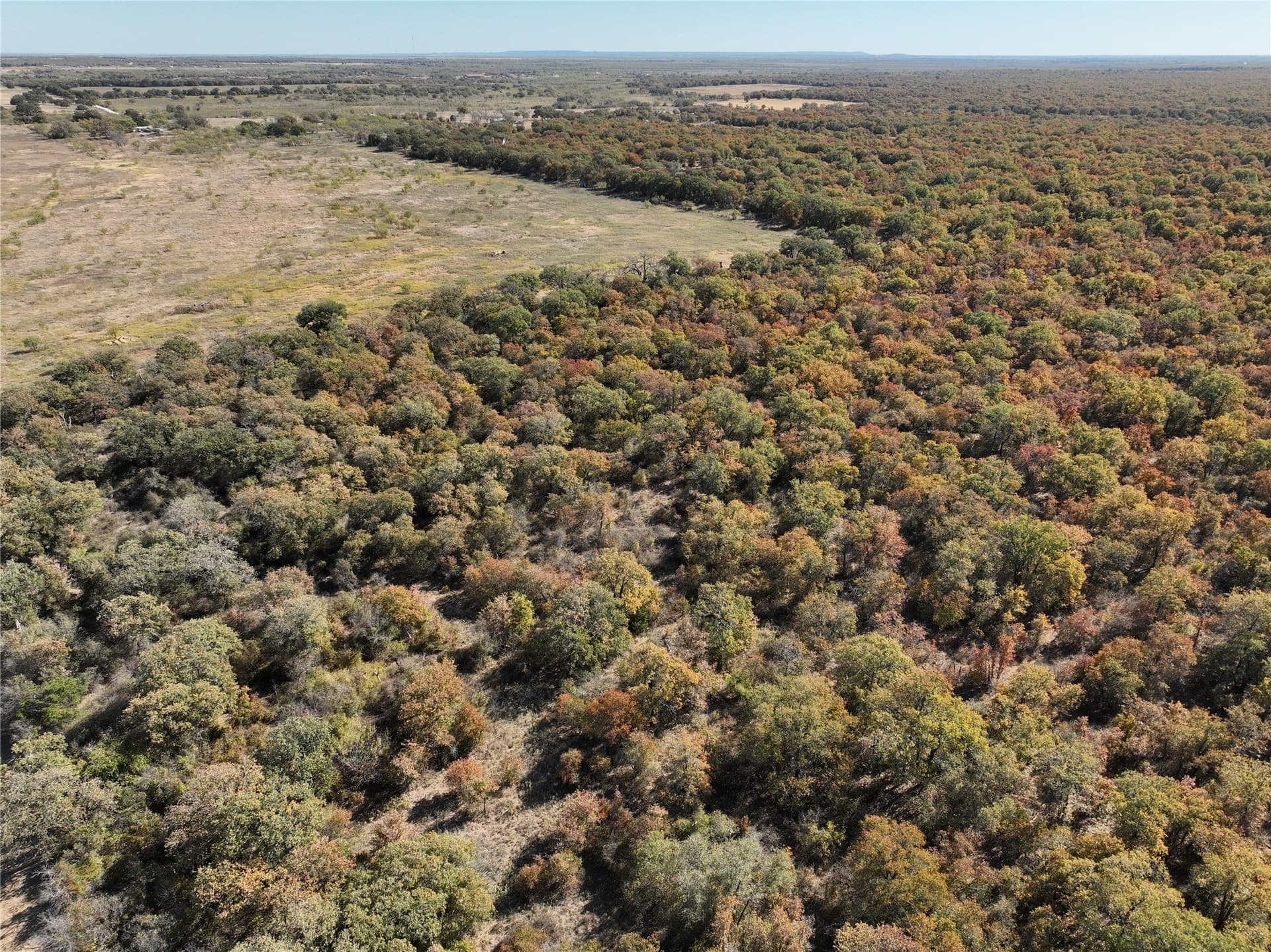 7.31 acres in Callahan County - photo 10