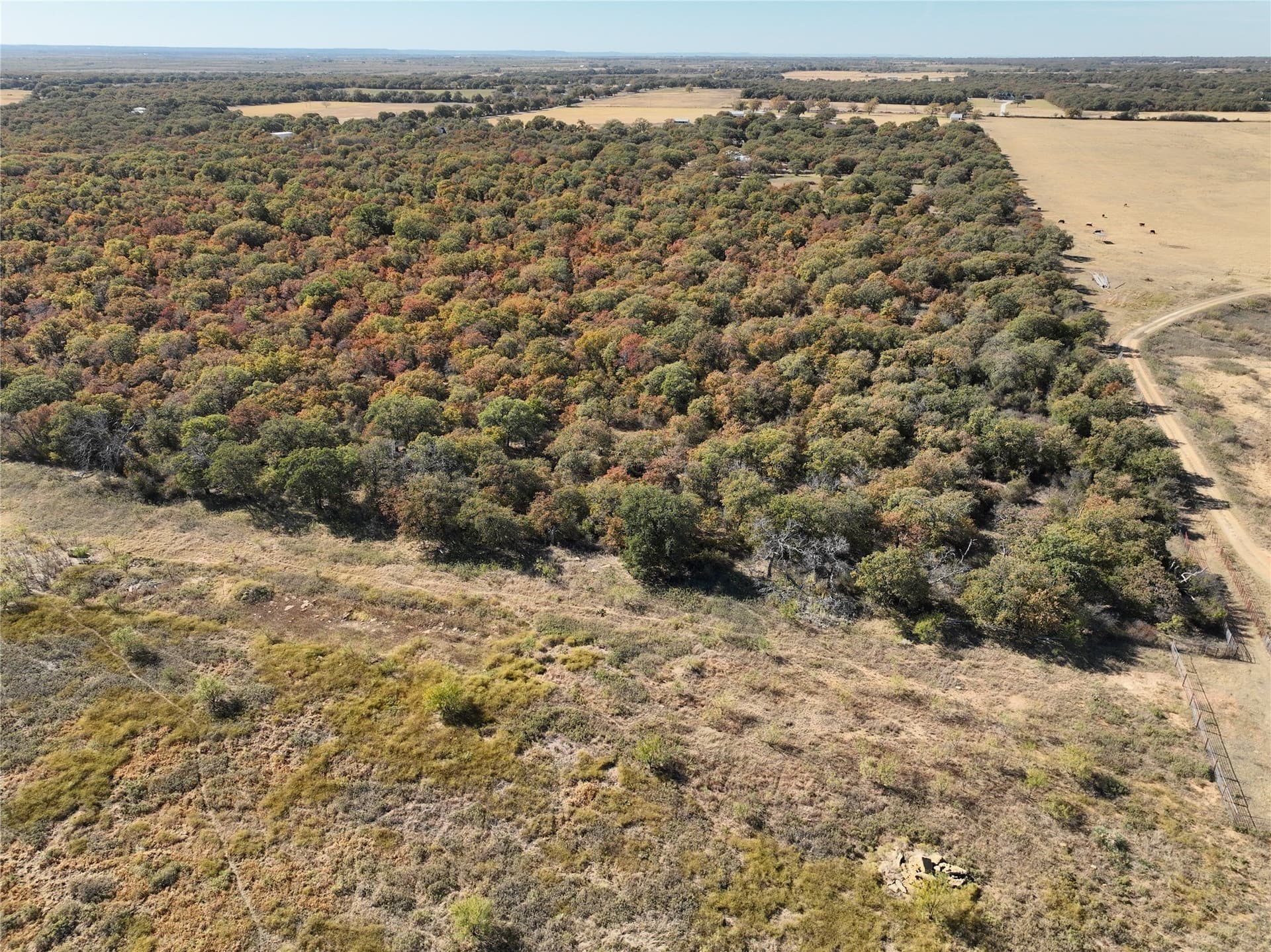 7.31 acres in Callahan County - photo 9