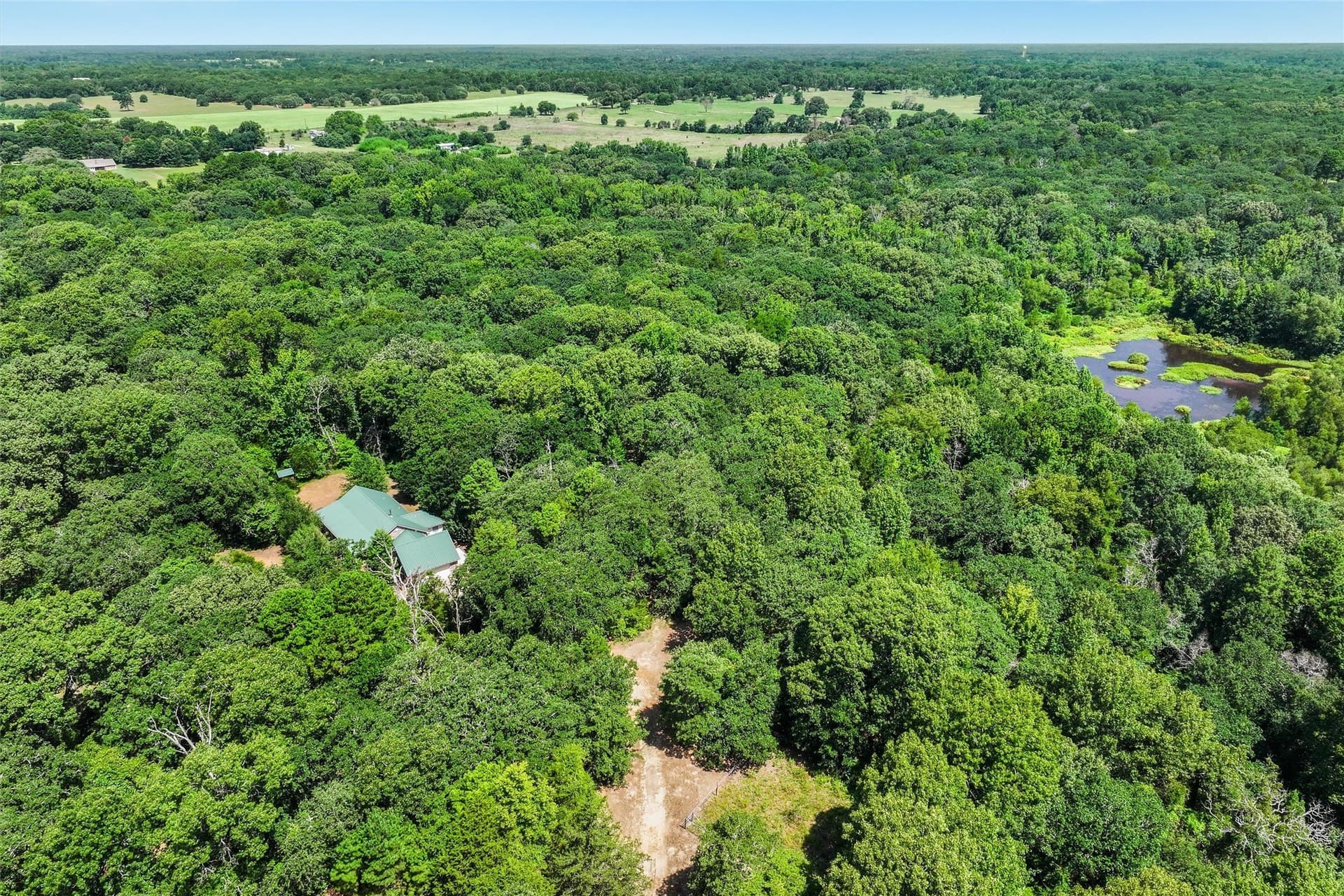 49.94 acres in Wood County gallery image 2