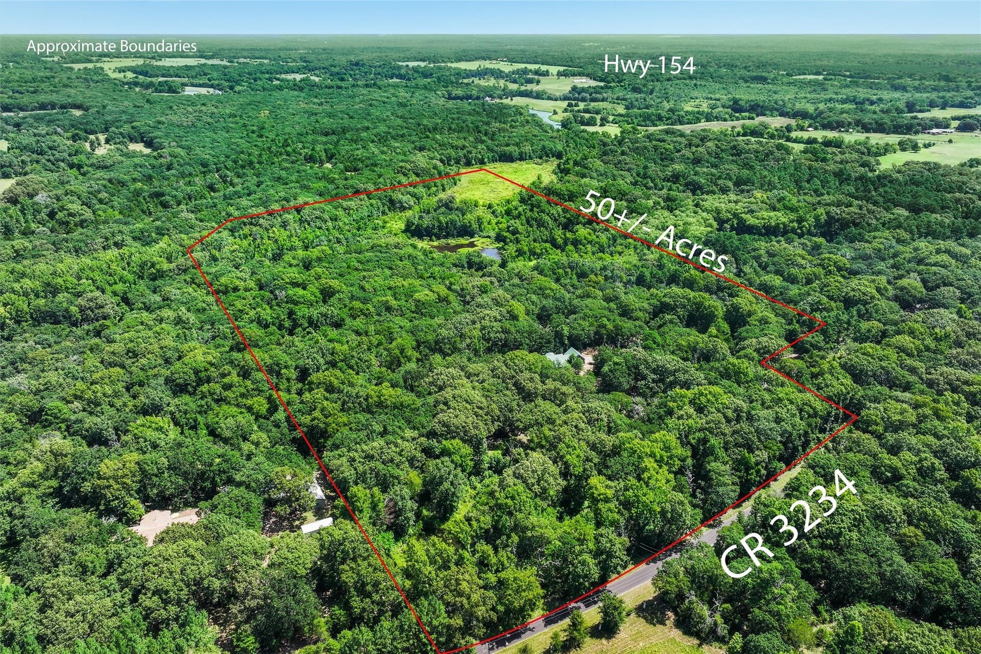 49.94 acres in Wood County gallery image 3