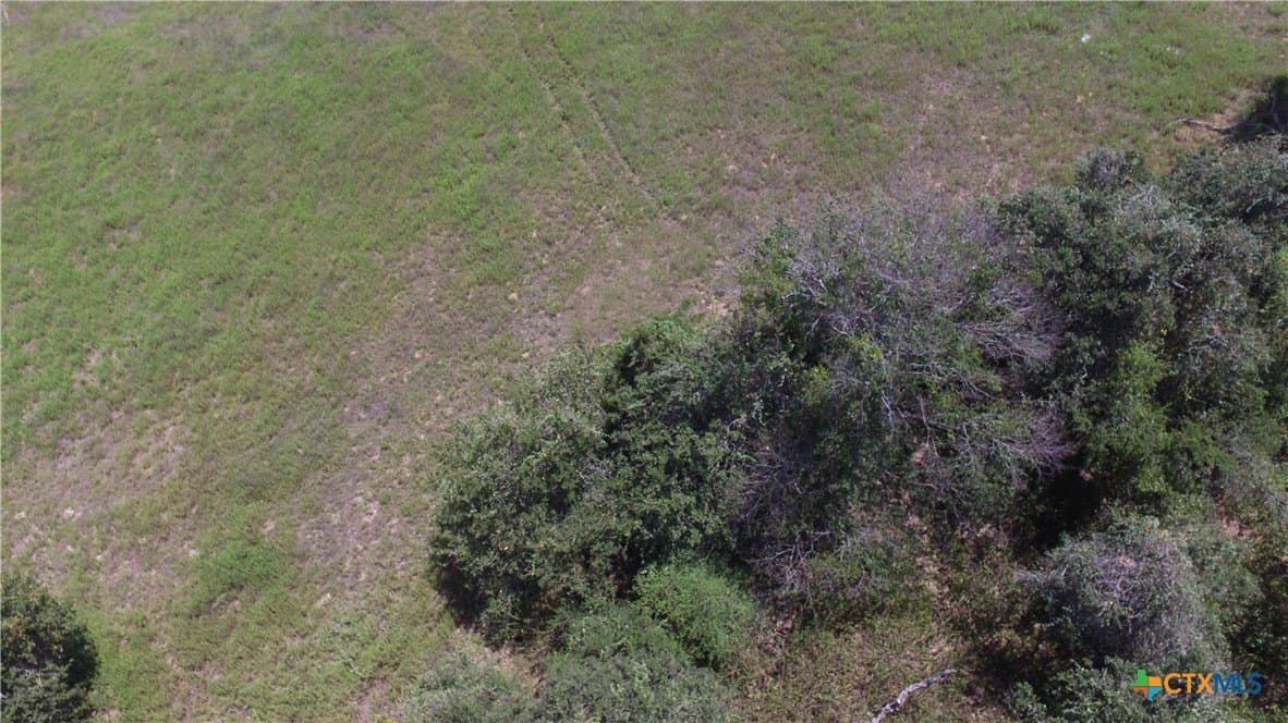 10.17 acres in Milam County - photo 11