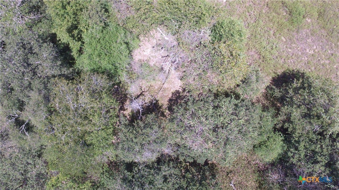 10.17 acres in Milam County - photo 12