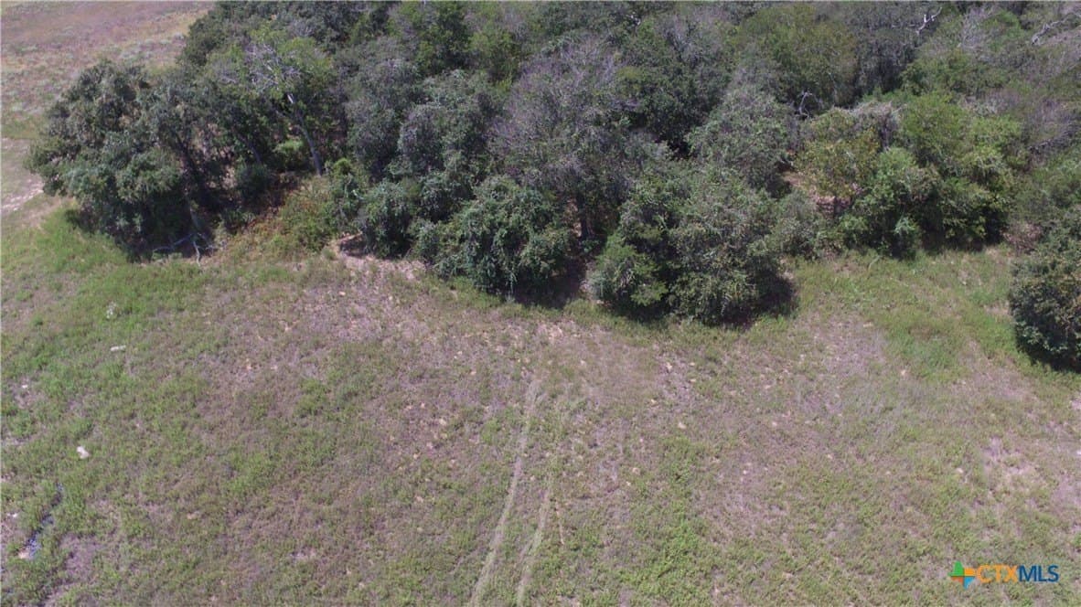 10.17 acres in Milam County - photo 8