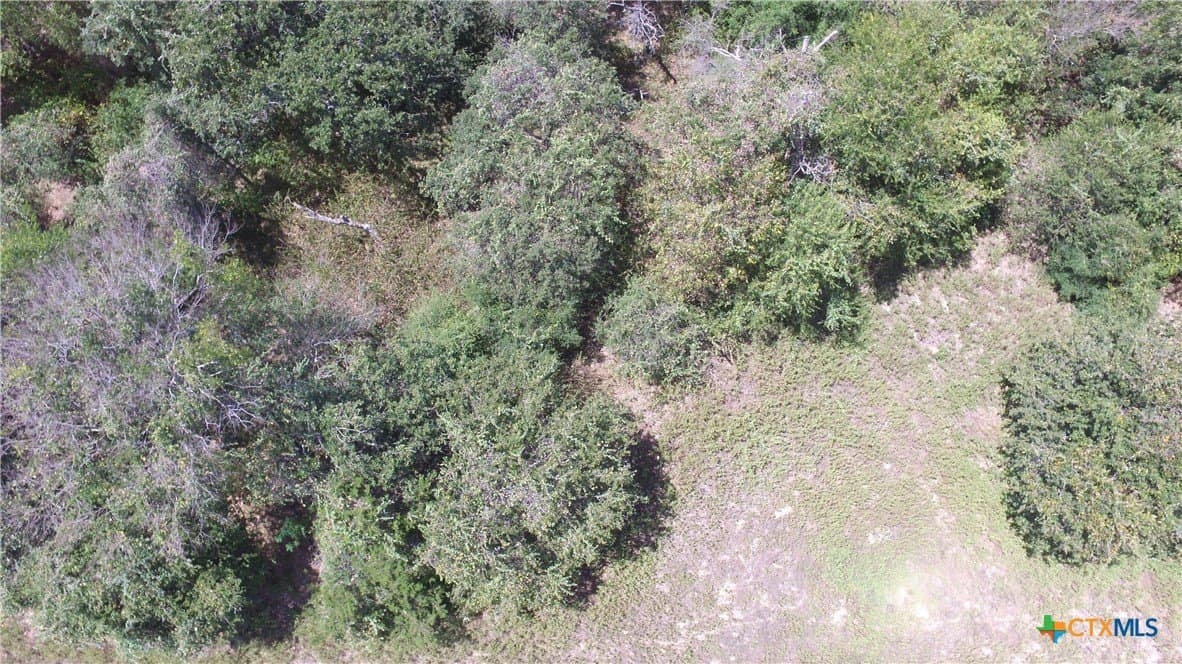 10.17 acres in Milam County - photo 13