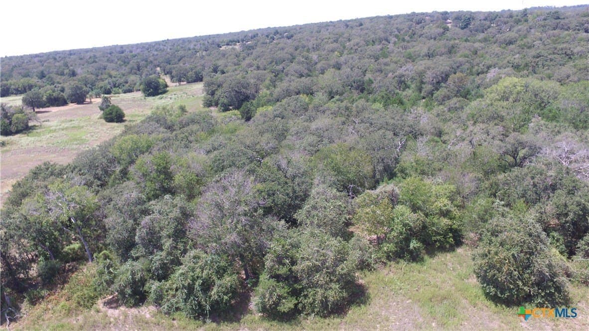 10.17 acres in Milam County - photo 9