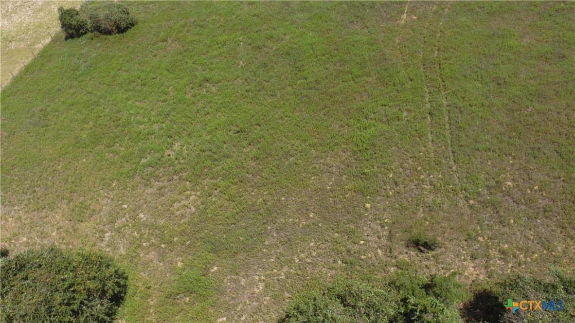 10.17 acres in Milam County - photo 5