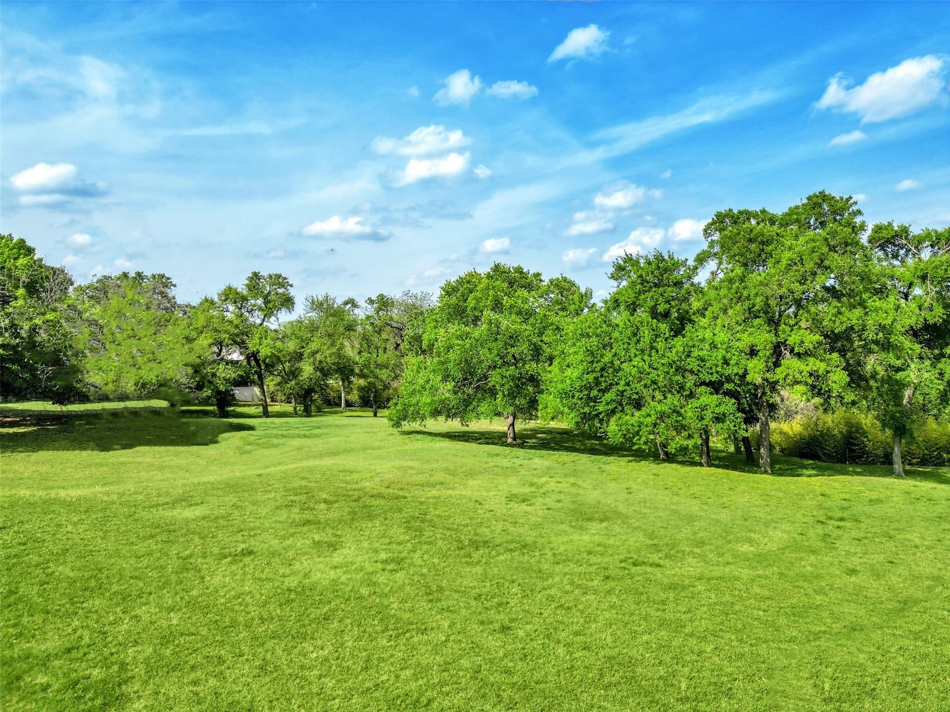1.1 acres in Dallas County gallery image 2