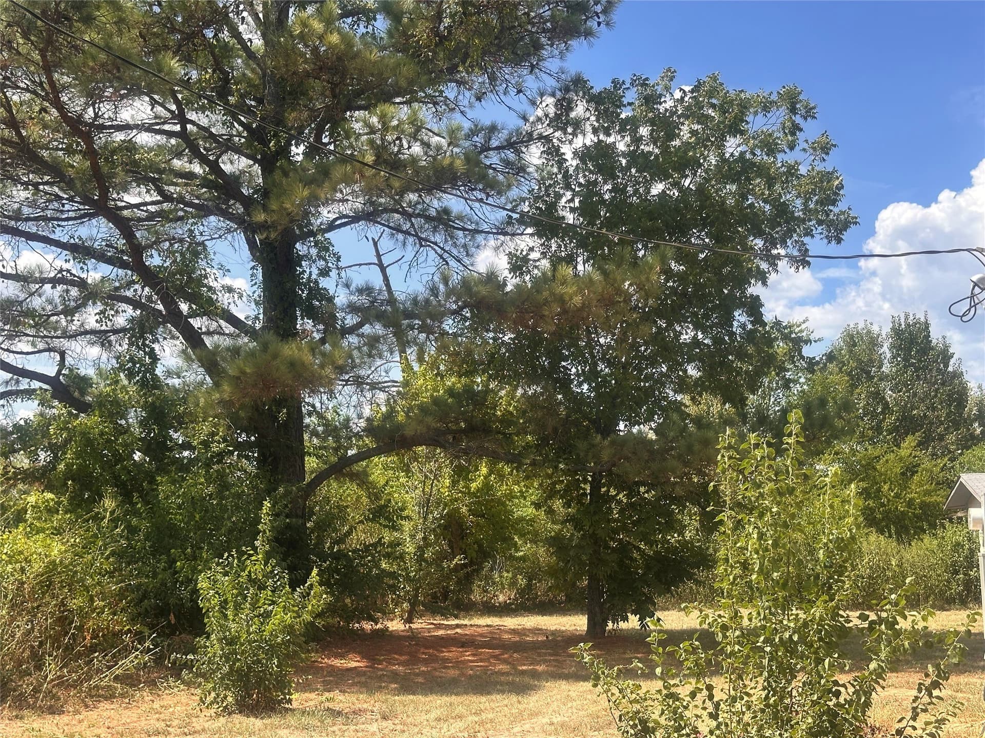 1.04 acres in Henderson County - photo 7