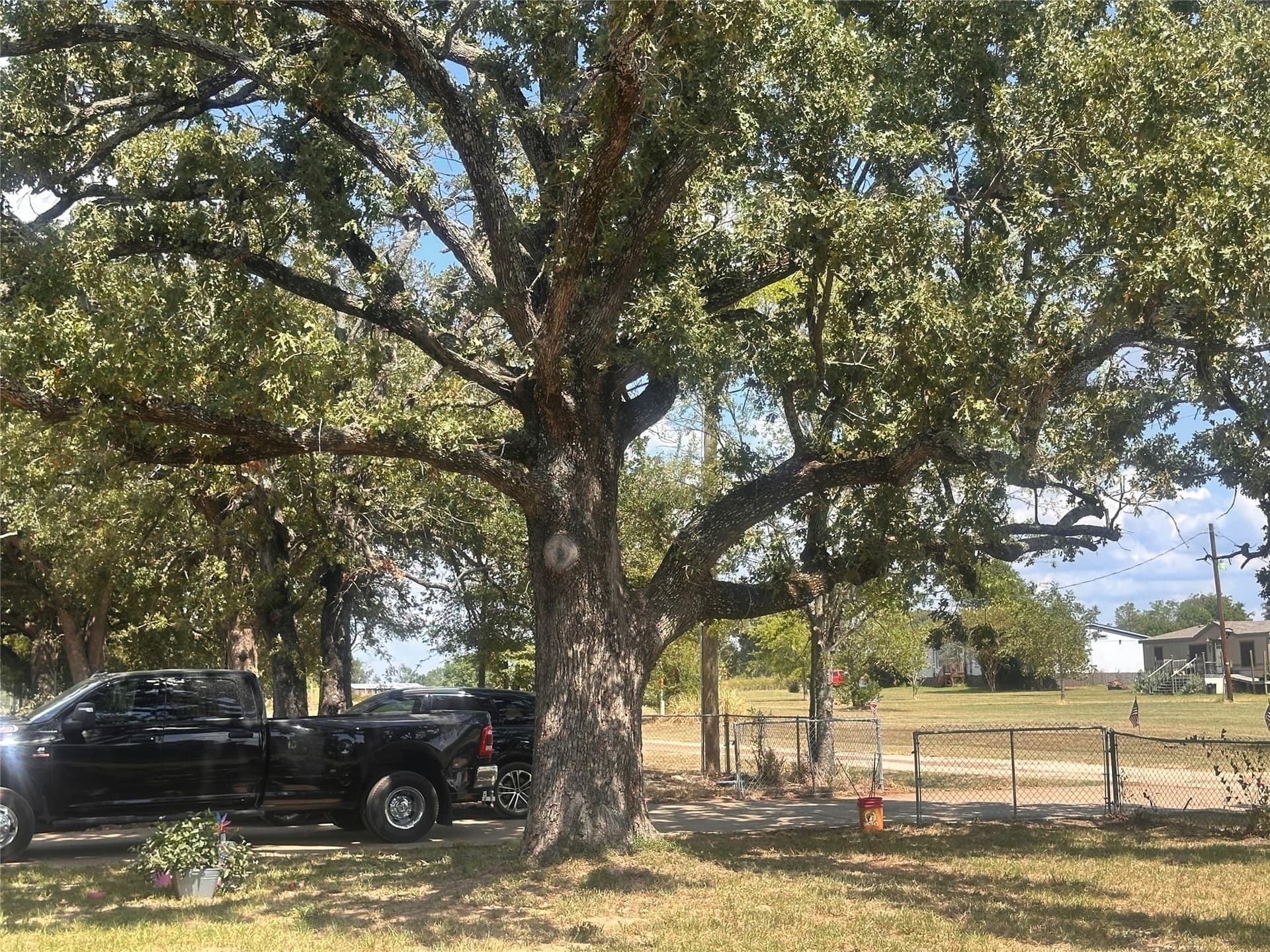 1.04 acres in Henderson County - photo 8