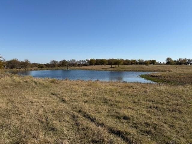 124.75 acres in Denton County gallery image 3