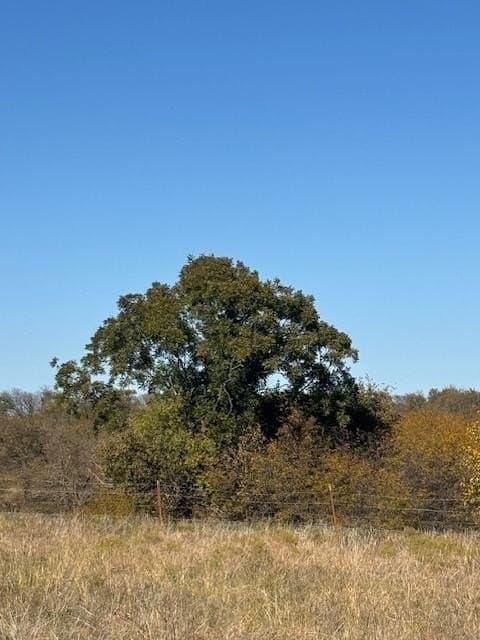 124.75 acres in Denton County gallery image 4