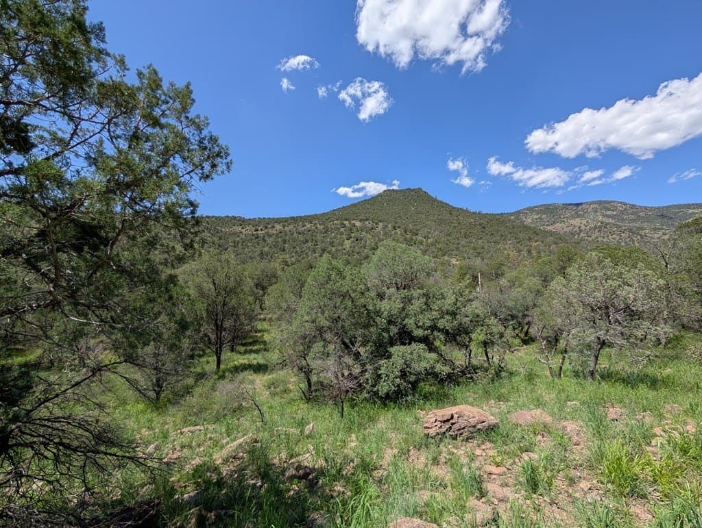 5.2 acres in Jeff Davis County - photo 13