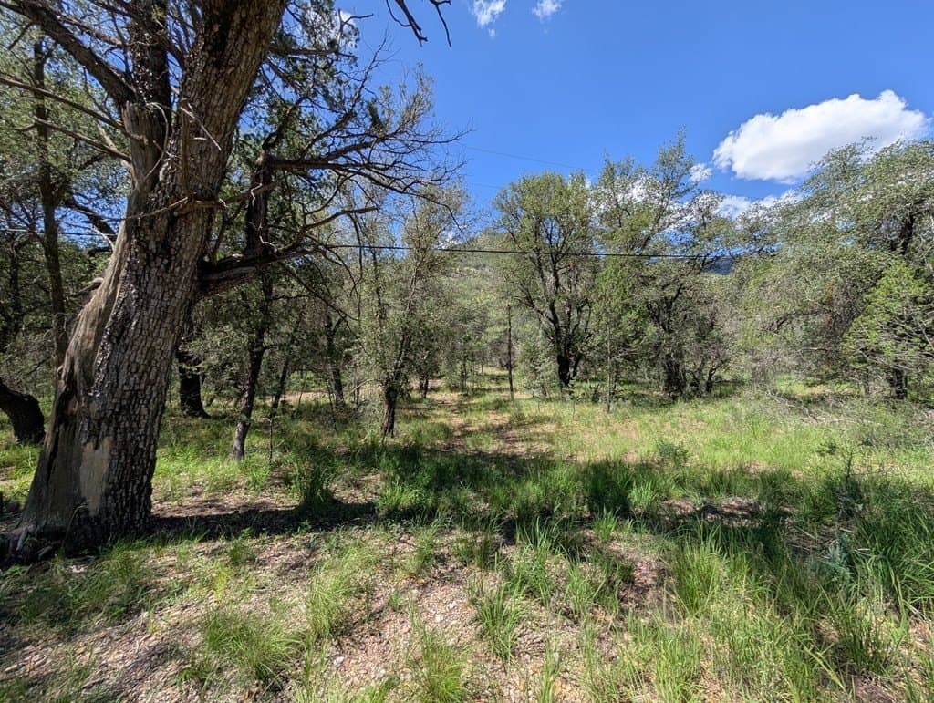 5.2 acres in Jeff Davis County - photo 10