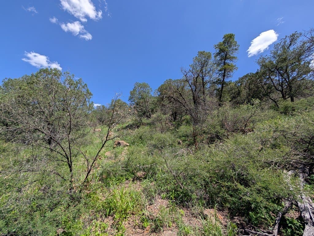 5.2 acres in Jeff Davis County - photo 11