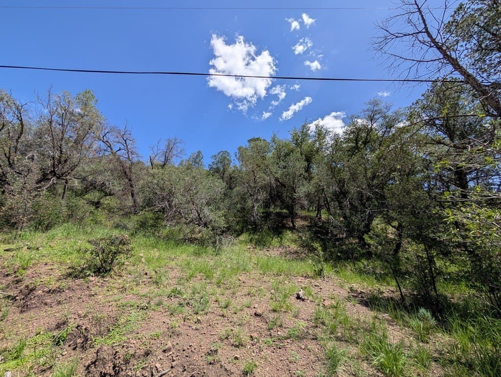 5.2 acres in Jeff Davis County - photo 17
