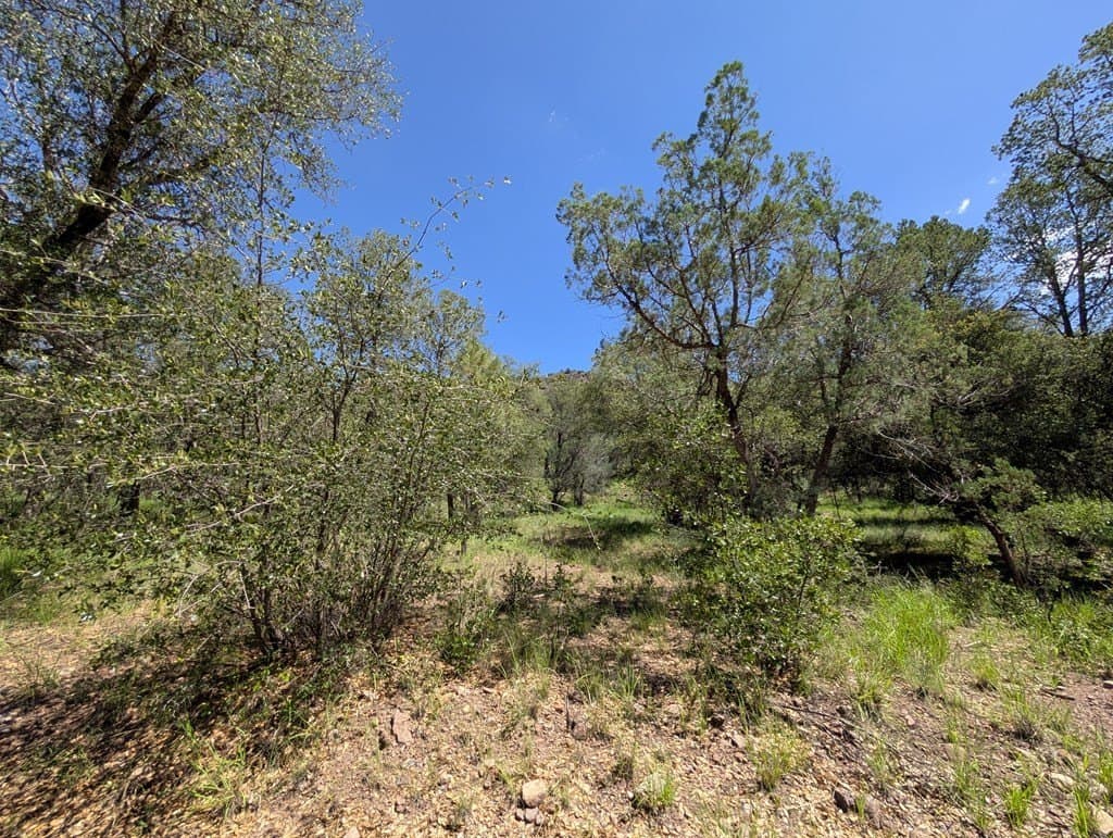 5.2 acres in Jeff Davis County - photo 3