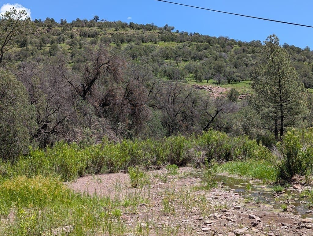 5.2 acres in Jeff Davis County - photo 18