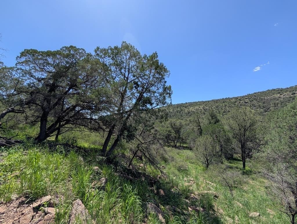 5.2 acres in Jeff Davis County - photo 2