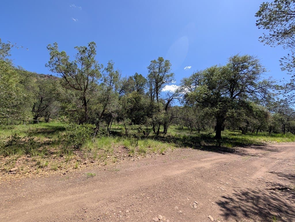 5.2 acres in Jeff Davis County - photo 19