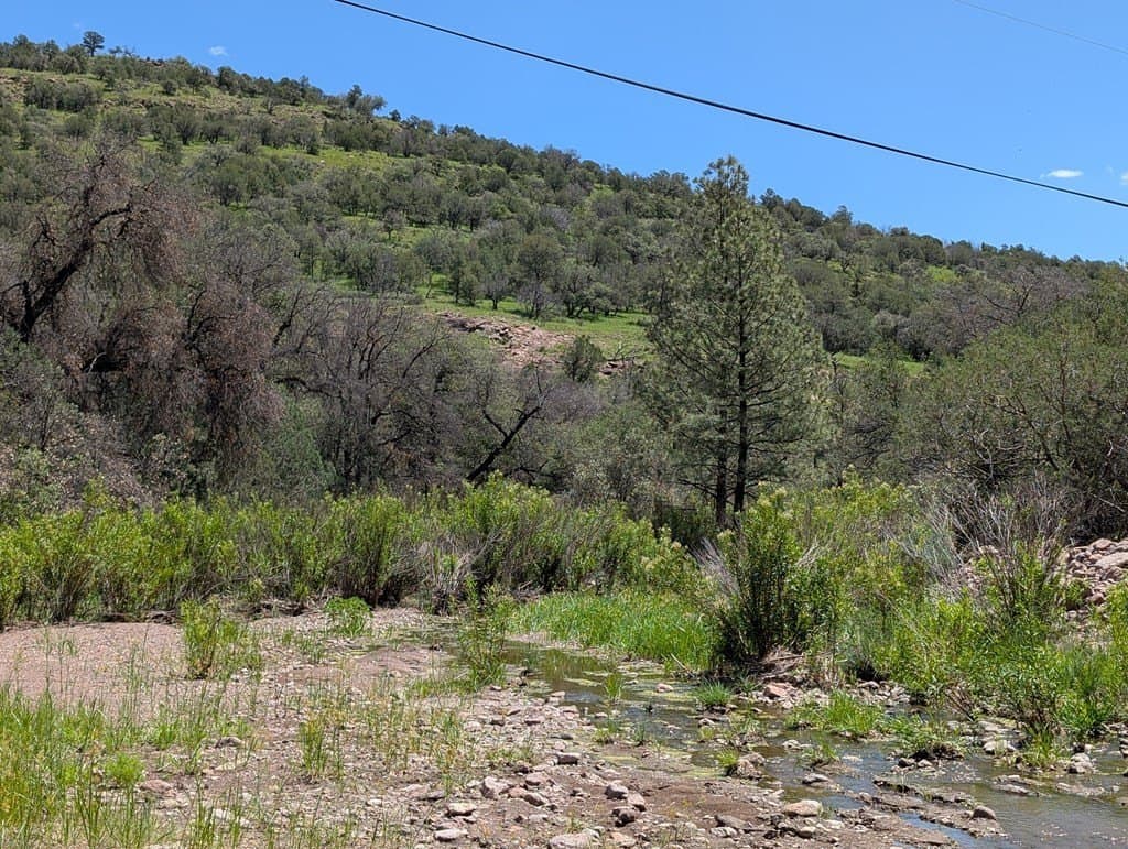 5.2 acres in Jeff Davis County - photo 20