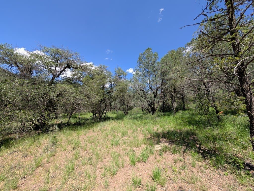 5.2 acres in Jeff Davis County - photo 7