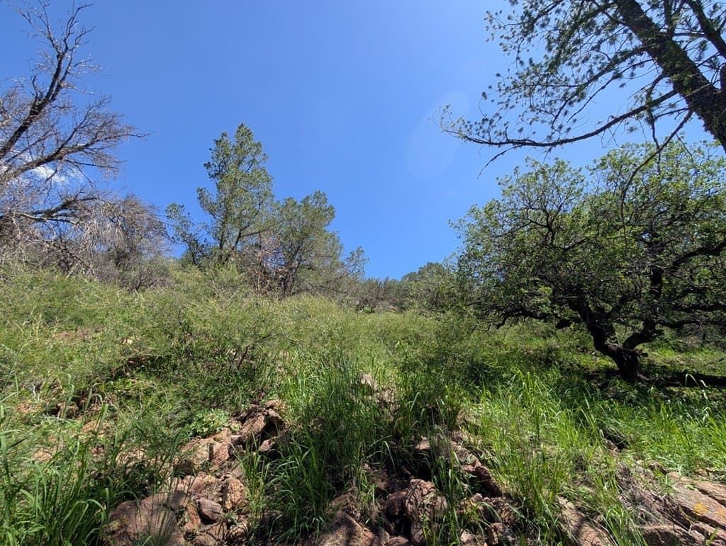 5.2 acres in Jeff Davis County - photo 8