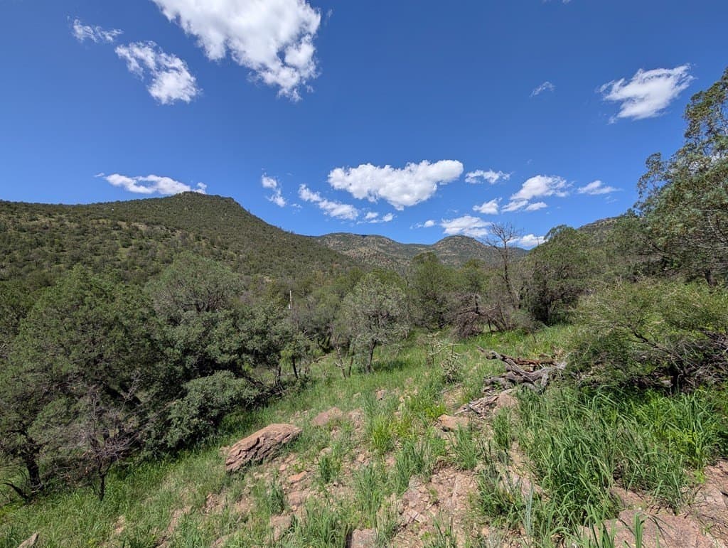 5.2 acres in Jeff Davis County - photo 14