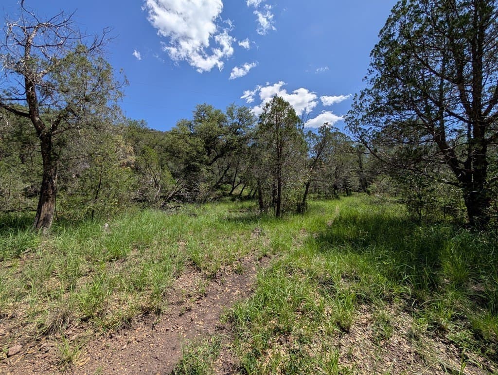 5.2 acres in Jeff Davis County - photo 15