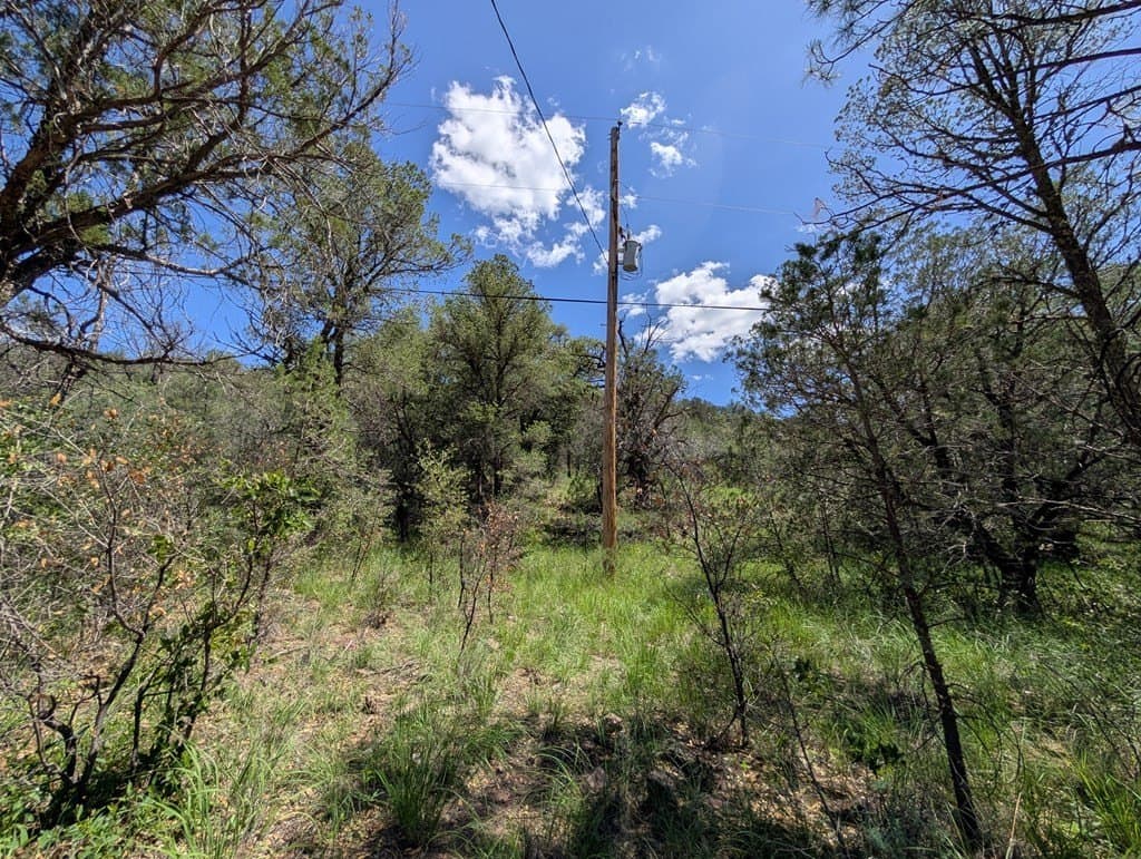 5.2 acres in Jeff Davis County - photo 16