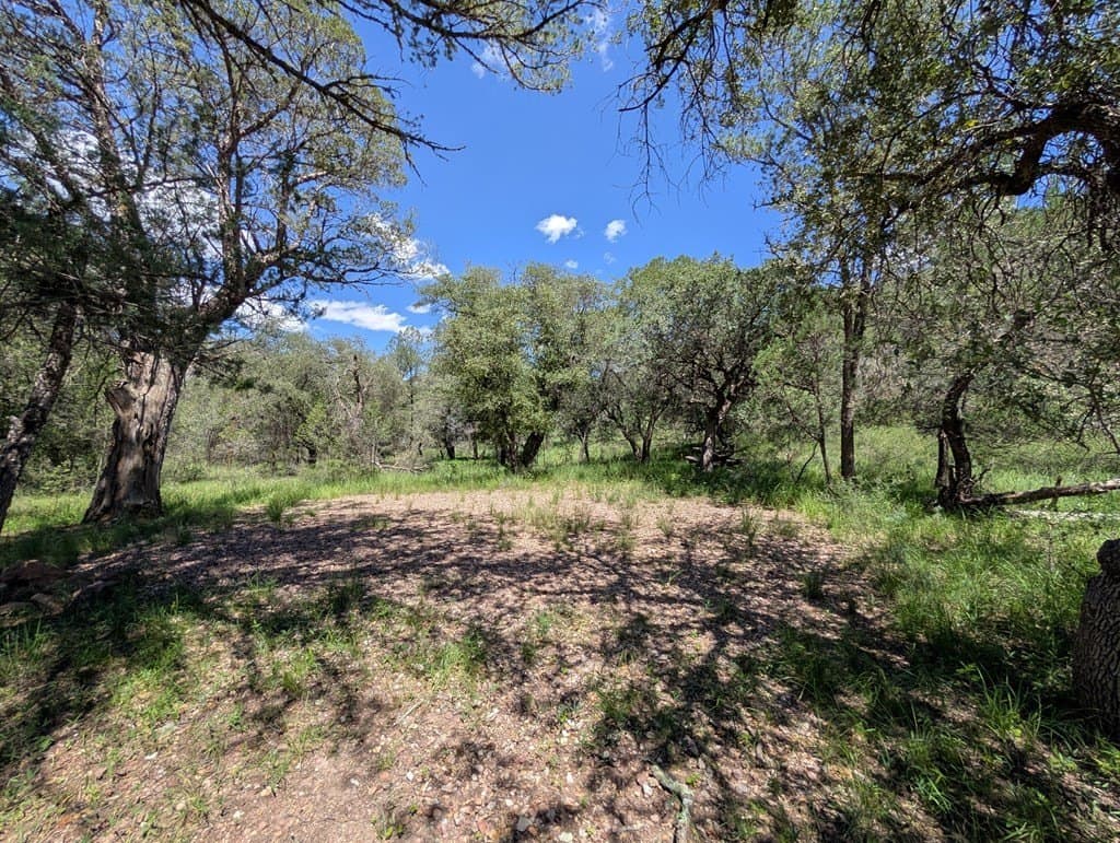 5.2 acres in Jeff Davis County - photo 9