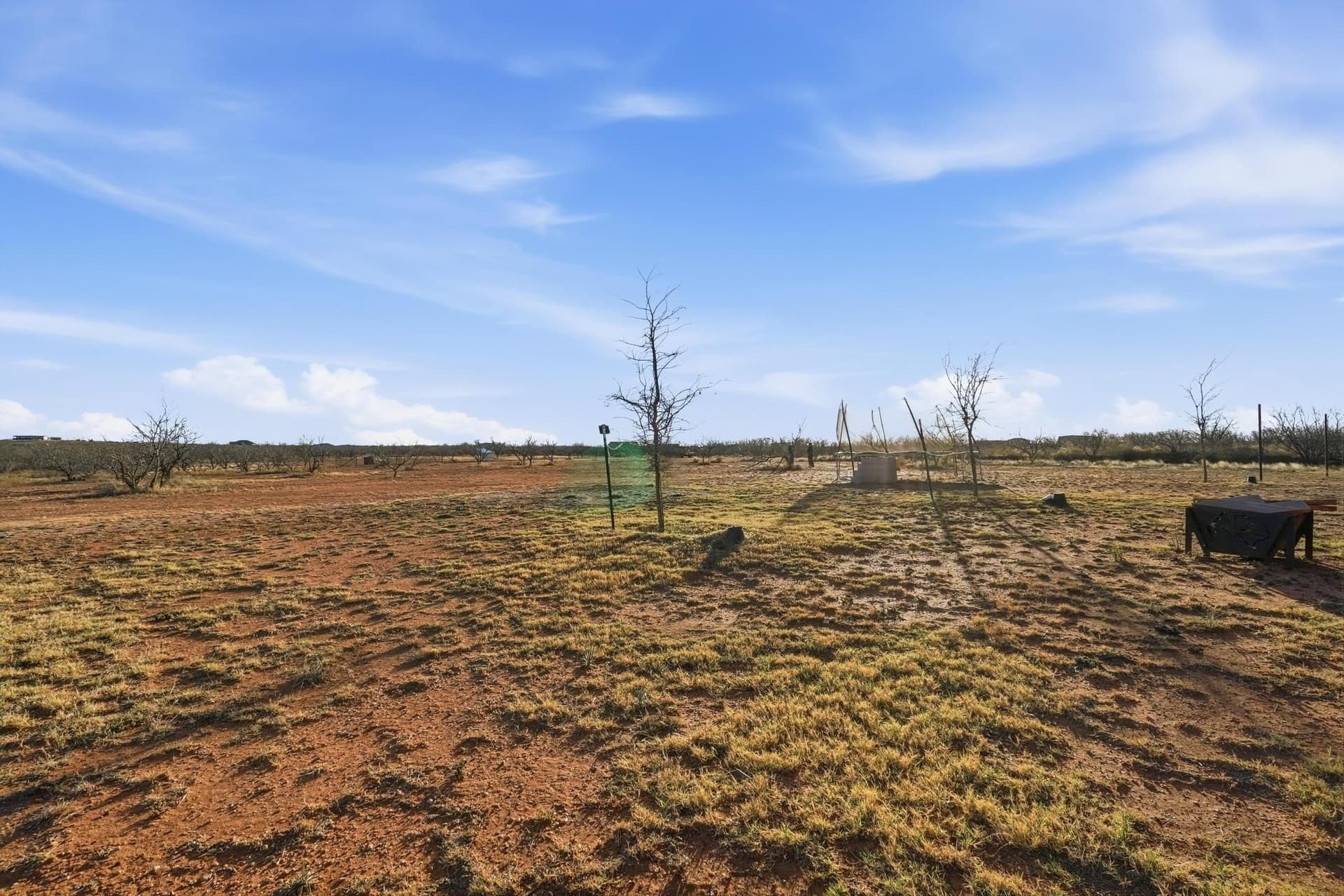 67.84 acres in Taylor County - photo 32