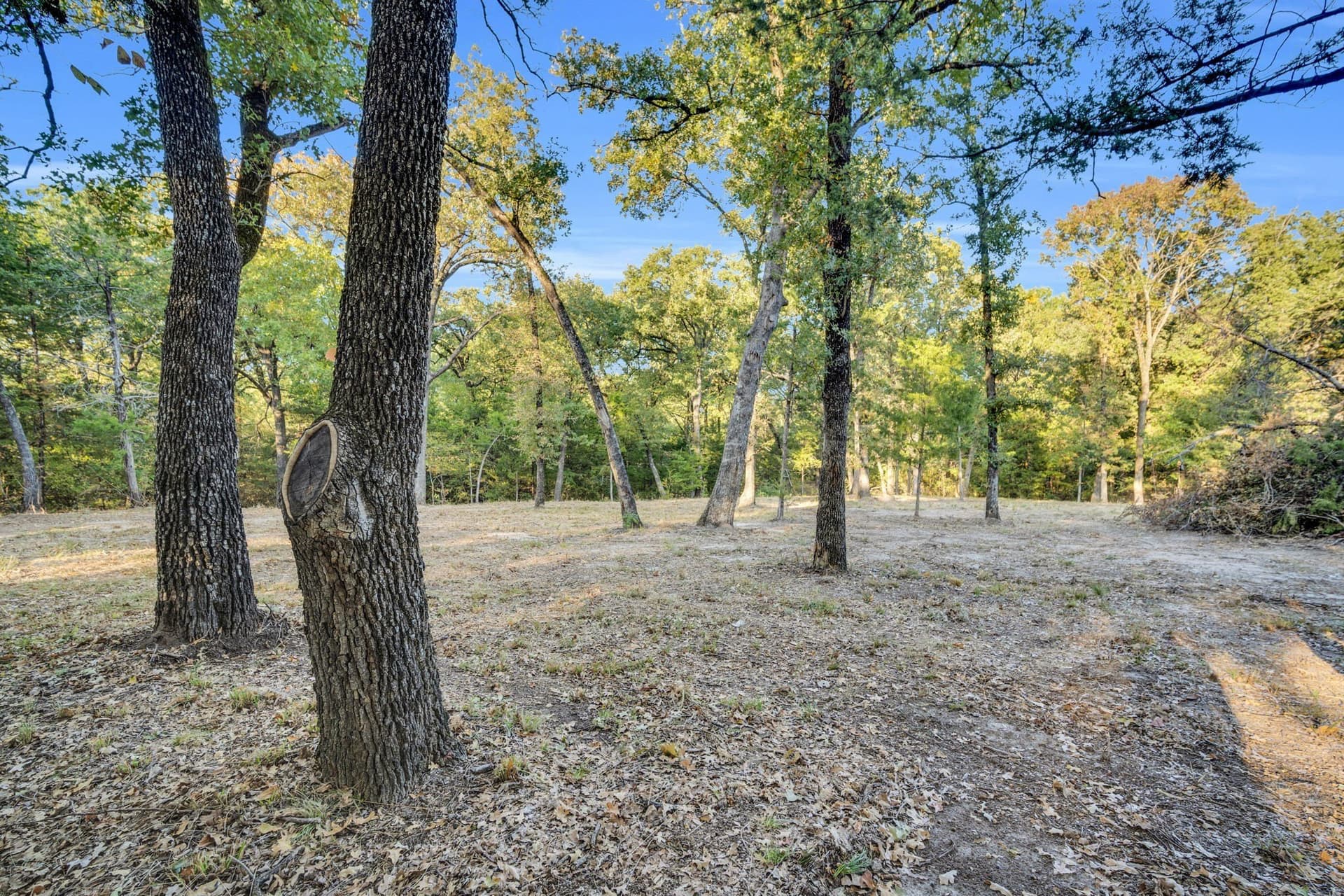 2.68 acres in Navarro County - photo 2