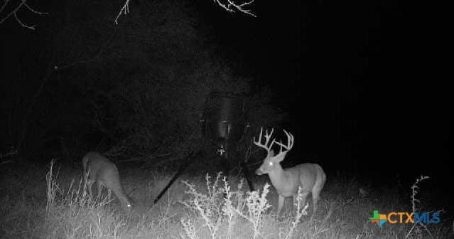 14.17 acres in Goliad County - photo 14