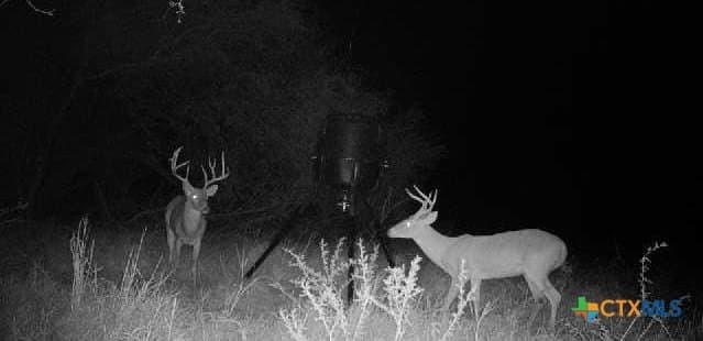 14.17 acres in Goliad County - photo 13