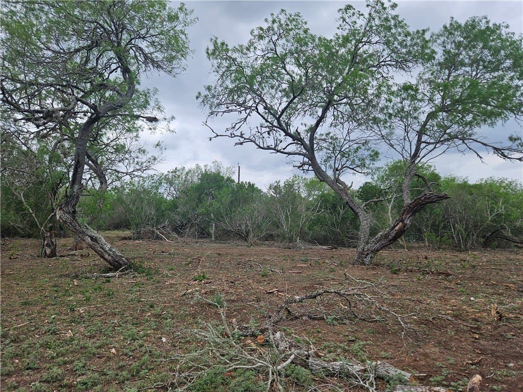 99.2 acres in Duval County featured view