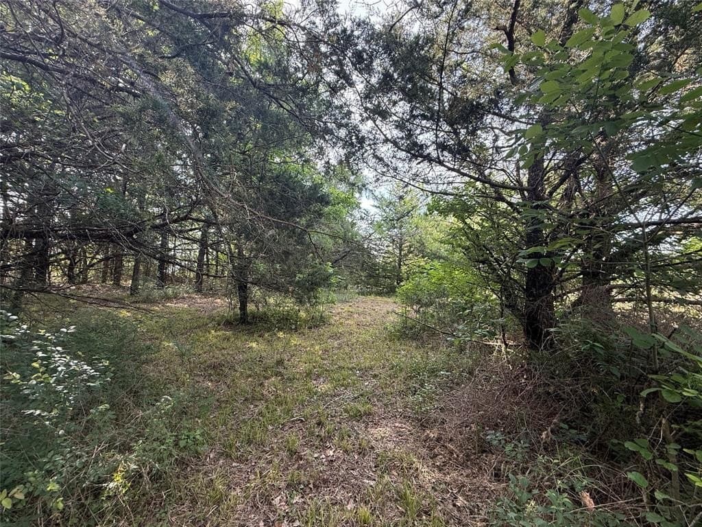 1.57 acres in Navarro County gallery image 3
