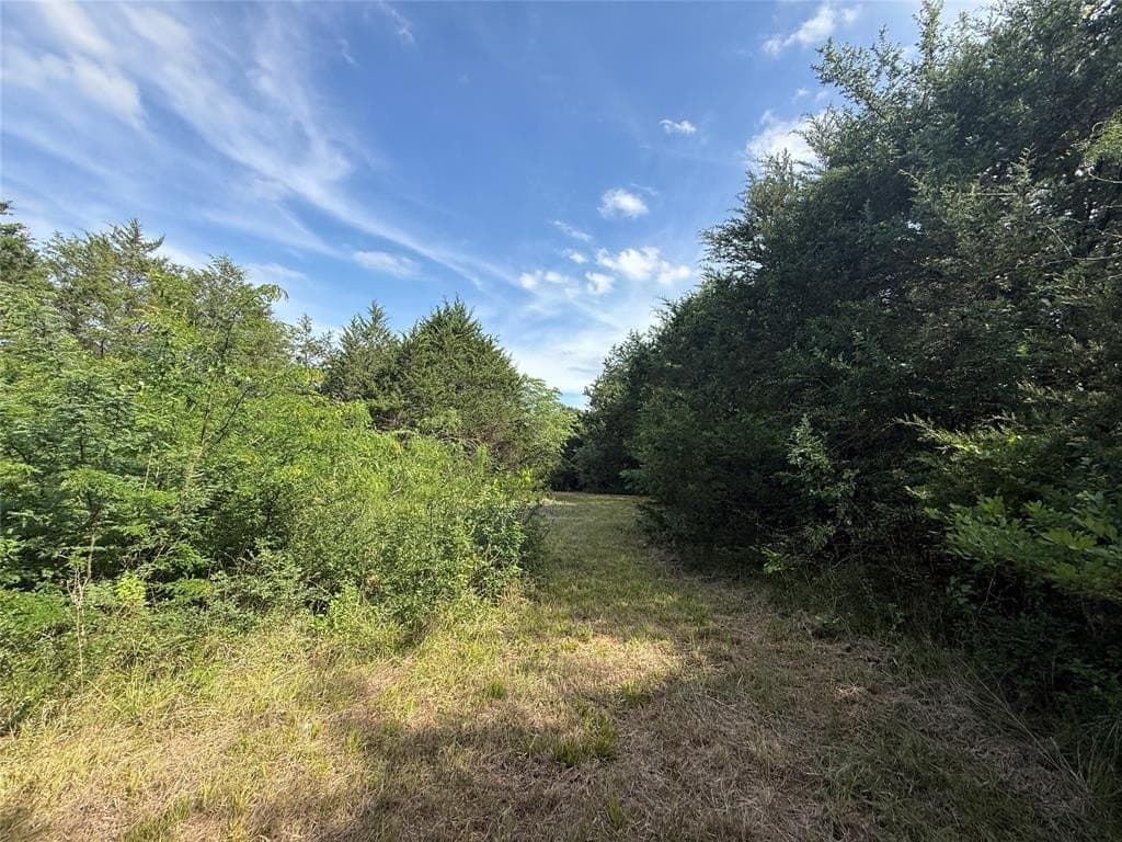 1.57 acres in Navarro County gallery image 4