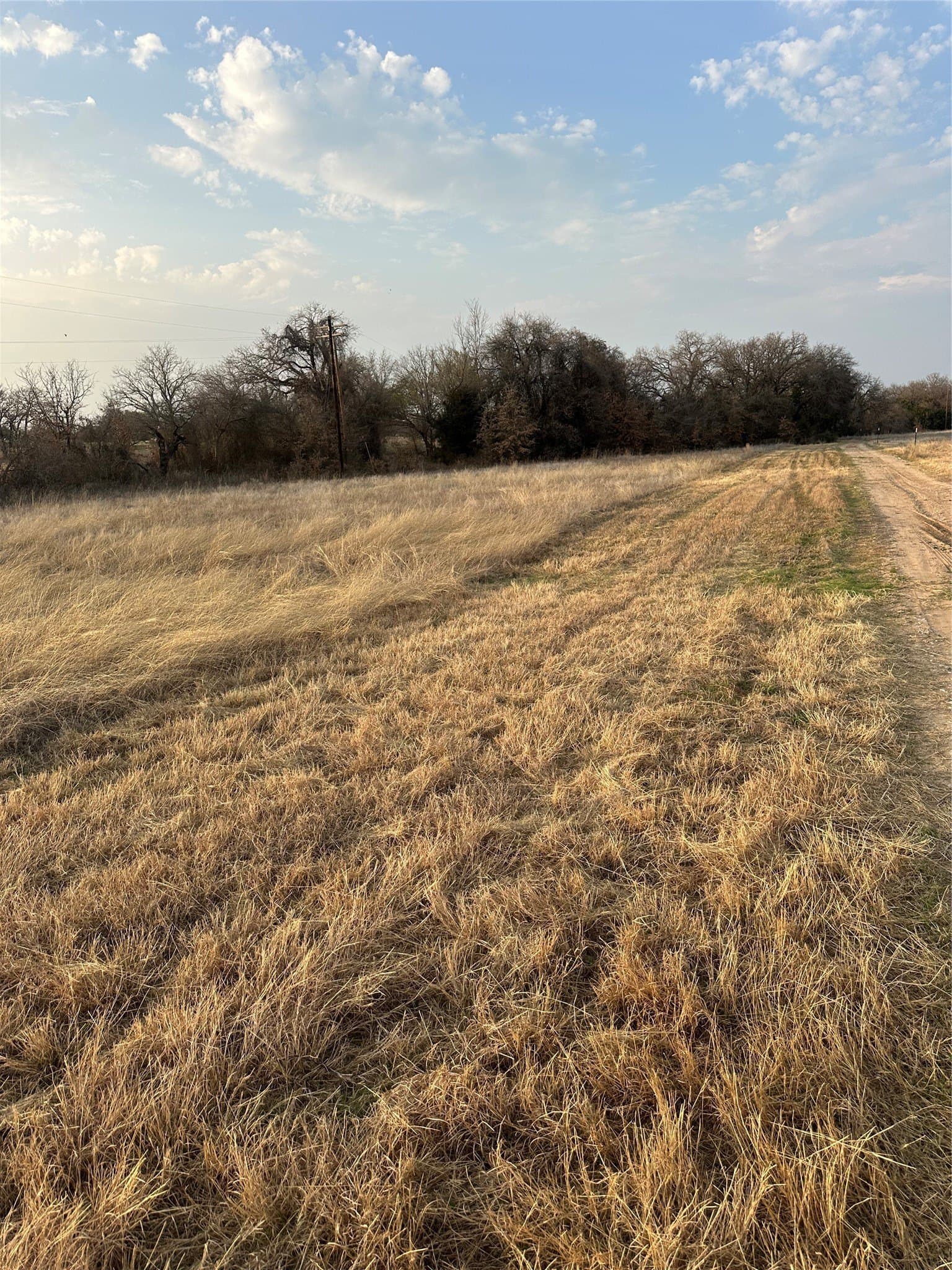 10.76 acres in Wise County - photo 2