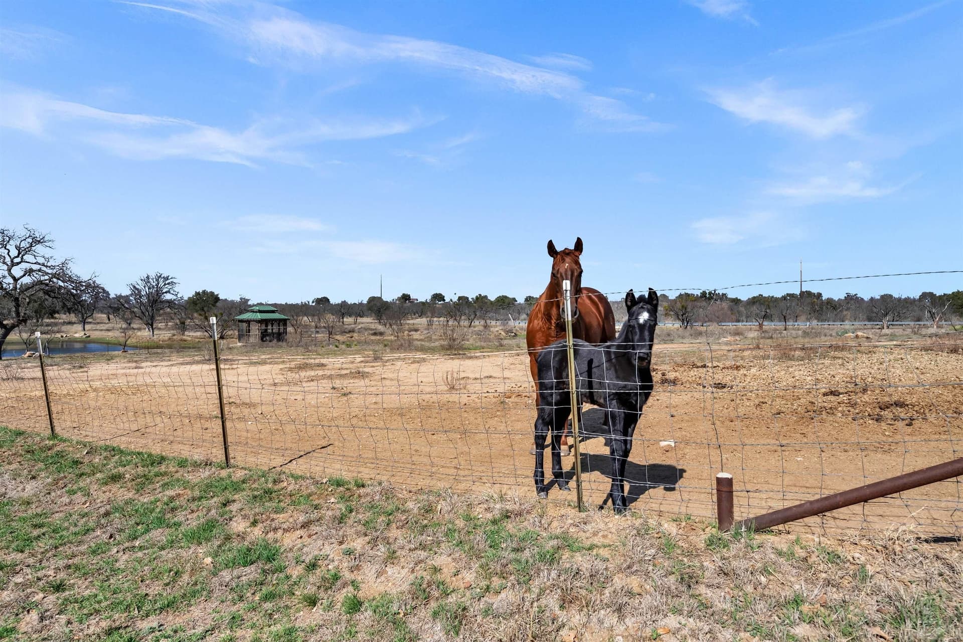 15.15 acres in Llano County - photo 22