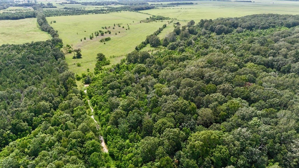185 acres in Texas County gallery image 4