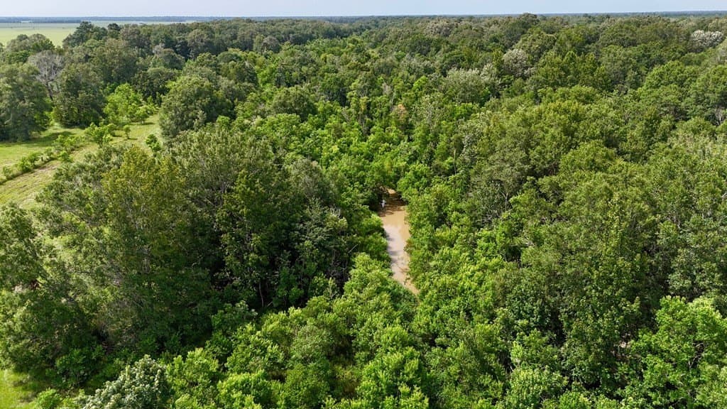 185 acres in Texas County gallery image 3