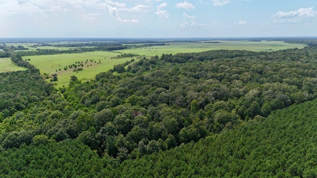 185 acres in Texas County featured view