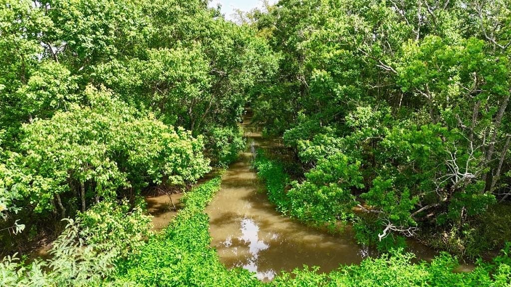 185 acres in Texas County