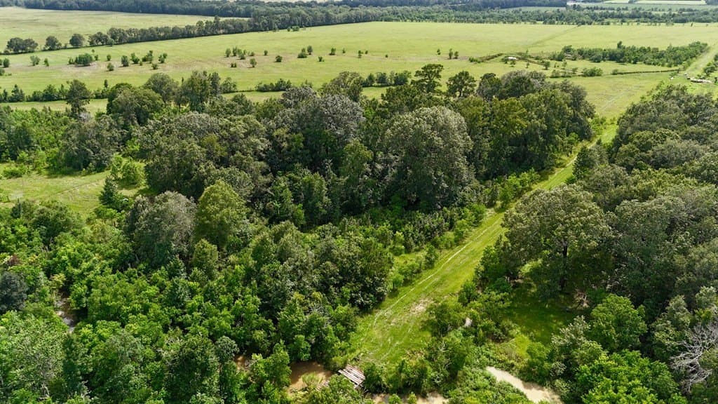 185 acres in Texas County gallery image 2