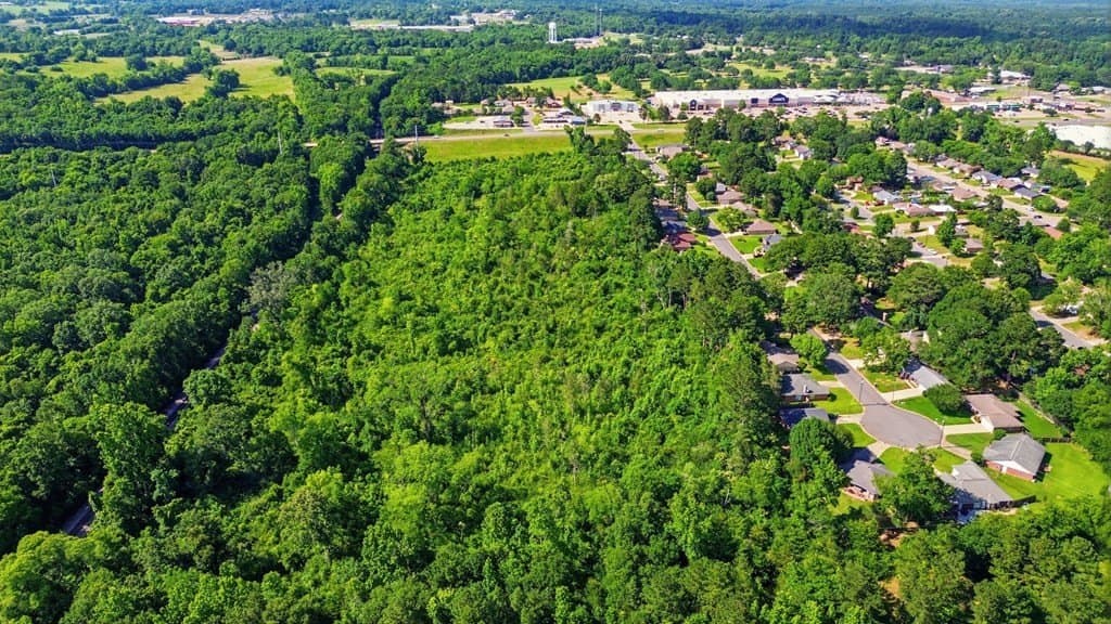 18.65 acres in Texas County gallery image 3