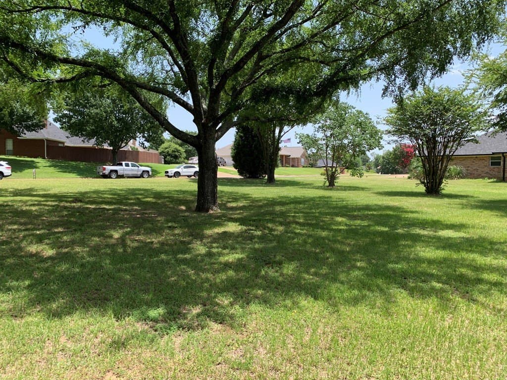 0.36 acres in Henderson County - photo 4