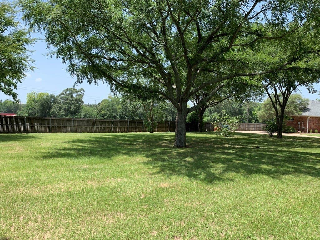0.36 acres in Henderson County - photo 3